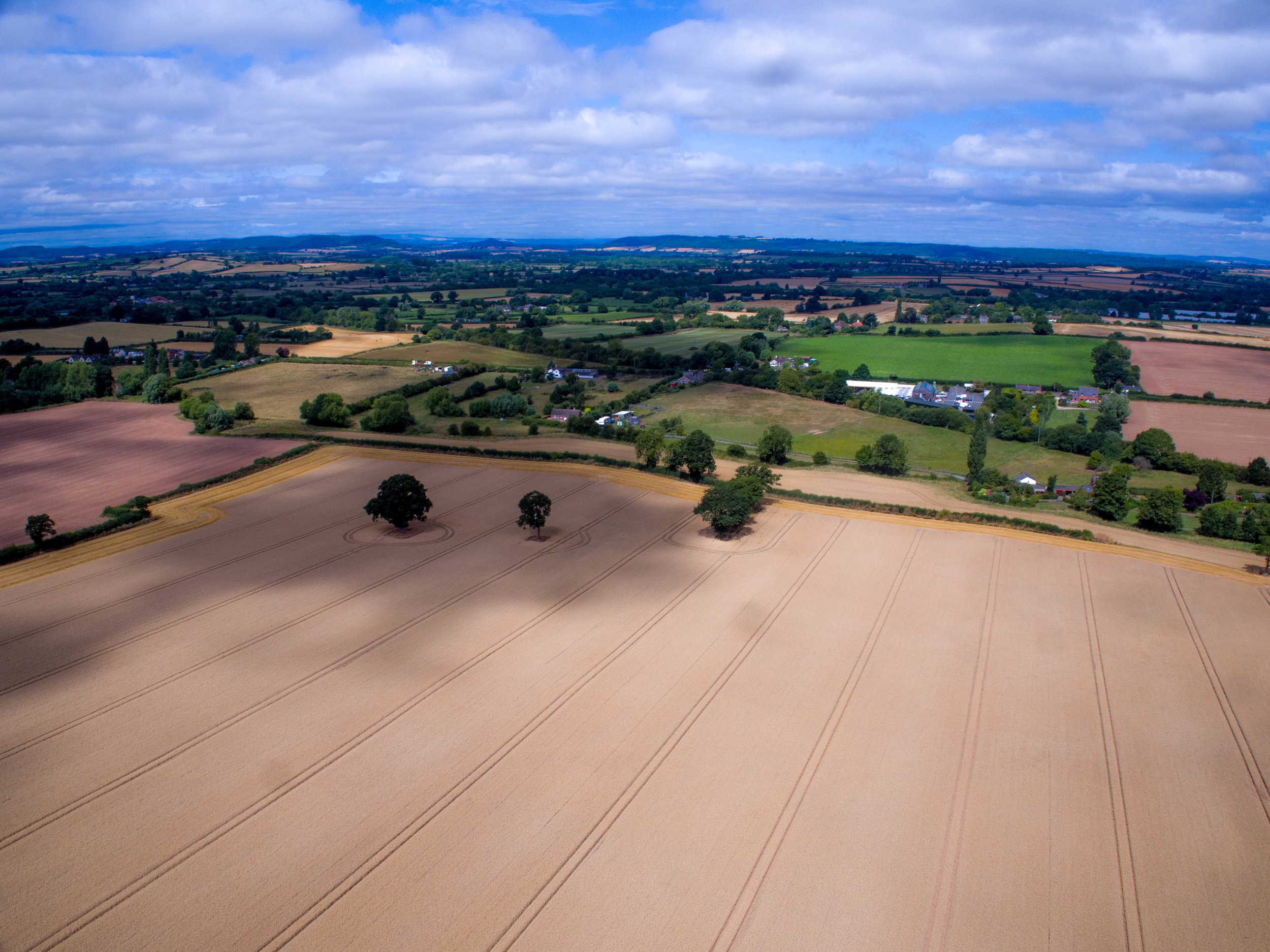 DJI_0034.jpg