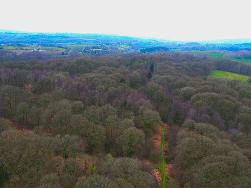 DJI_0787.jpg